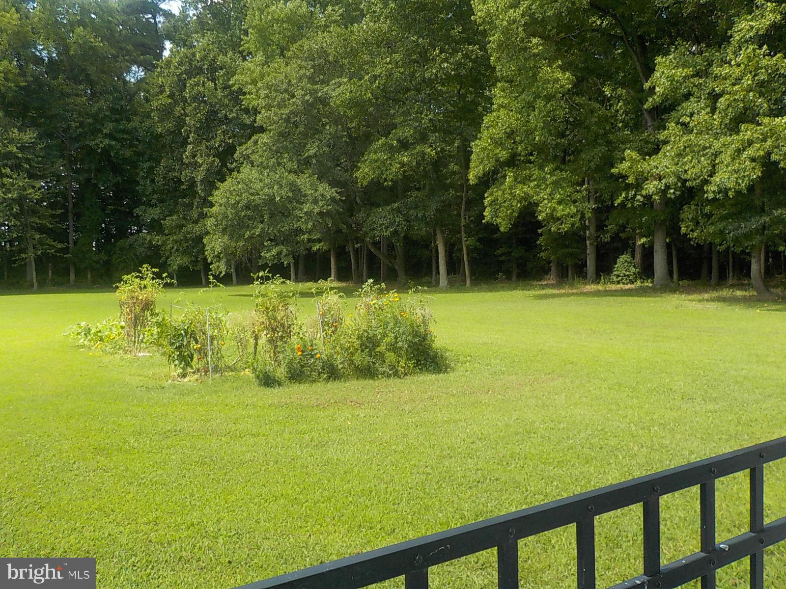 3881 Laurel Grove Road Federalsburg, MD 21632 - Photo 26 of 27 View