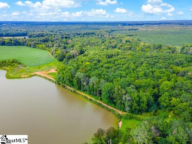 0 Bush River Road, Unit LOT 1 Kinards, SC 29355 - Photo 13 of 14 Gallery Image 13