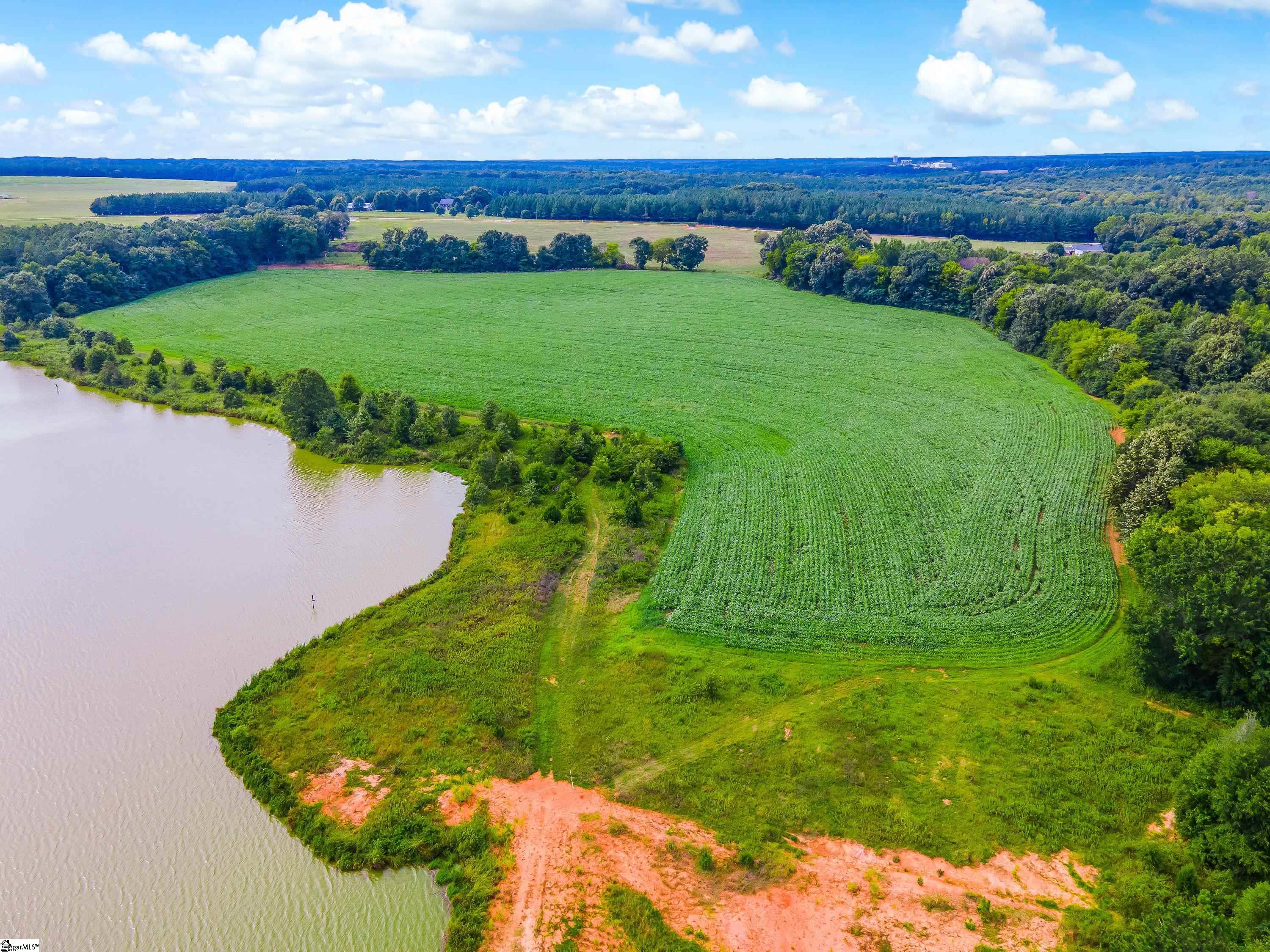 0 Bush River Road, Unit LOT 1 Kinards, SC 29355 - Photo 4 of 14 Gallery Image 4