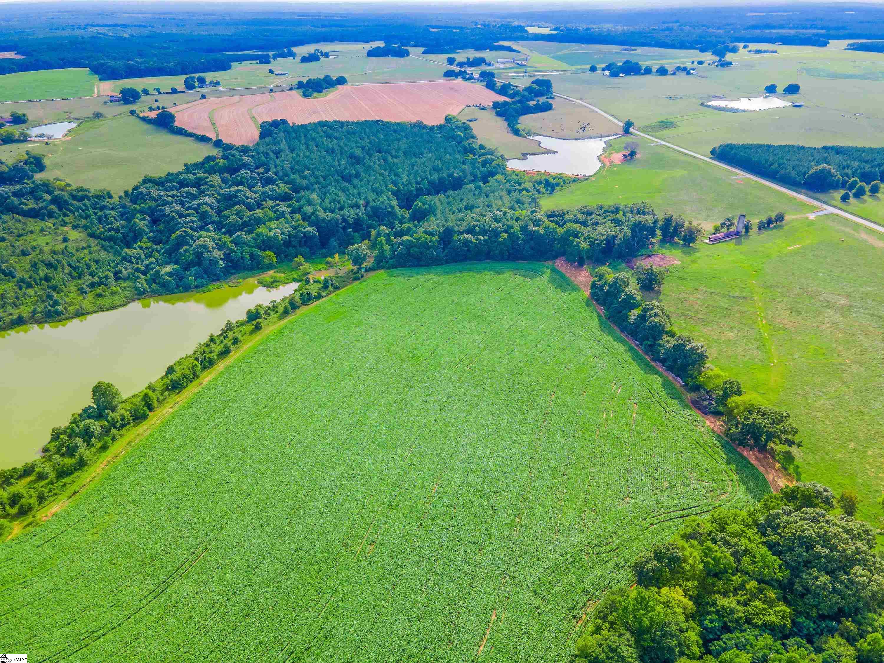 0 Bush River Road, Unit LOT 1 Kinards, SC 29355 - Photo 6 of 14 Gallery Image 6