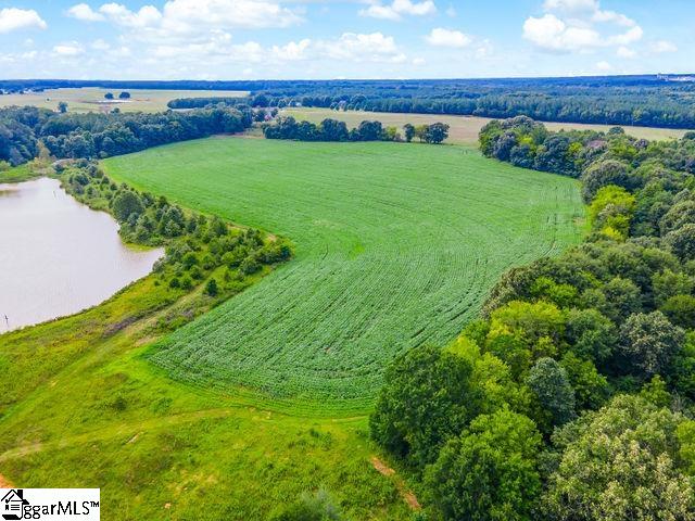 0 Bush River Road, Unit LOT 1 Kinards, SC 29355 - Photo 8 of 14 Gallery Image 8