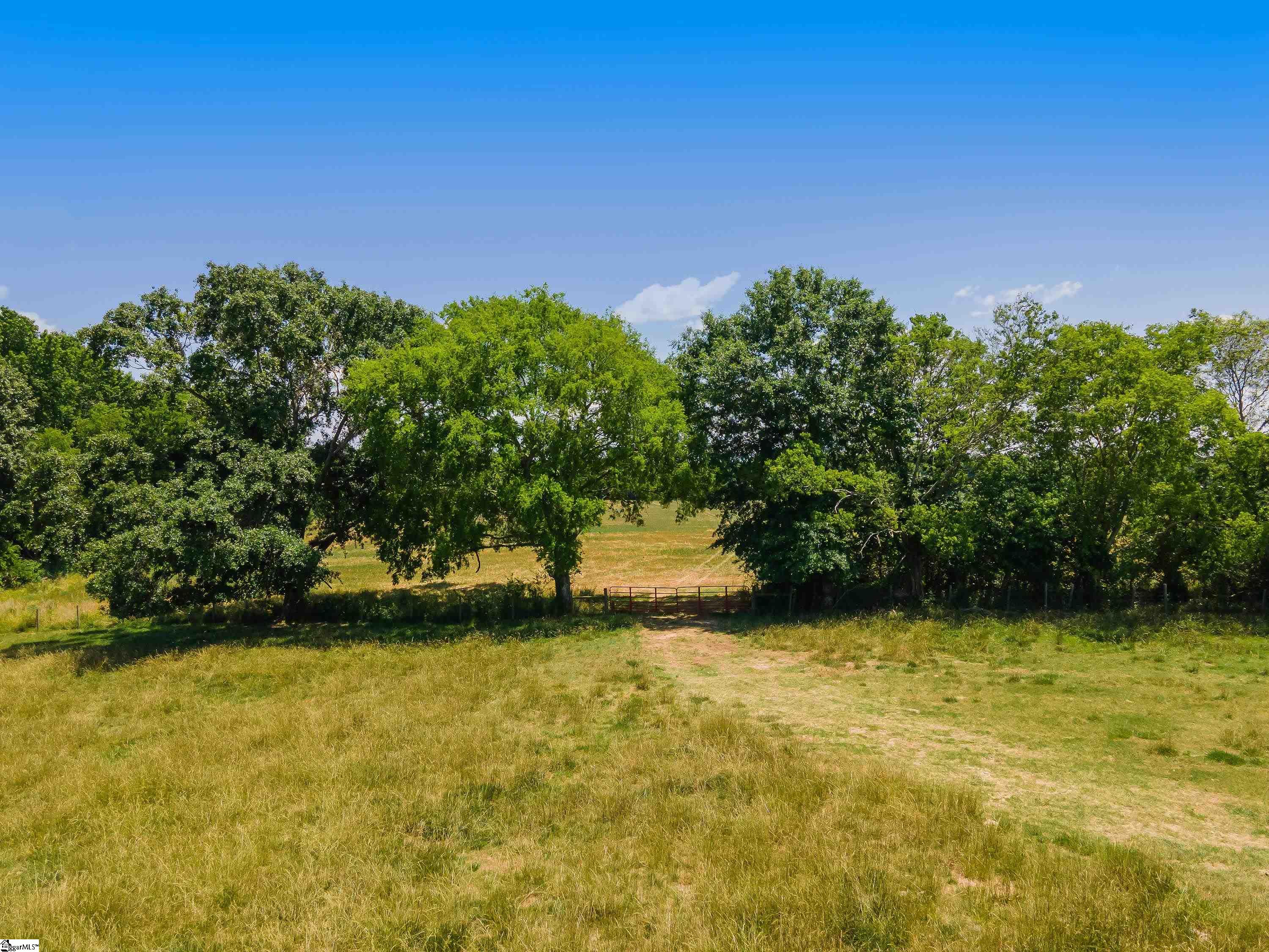 0 Bush River Road, Unit LOT 1 Kinards, SC 29355 - Photo 10 of 14 Gallery Image 10
