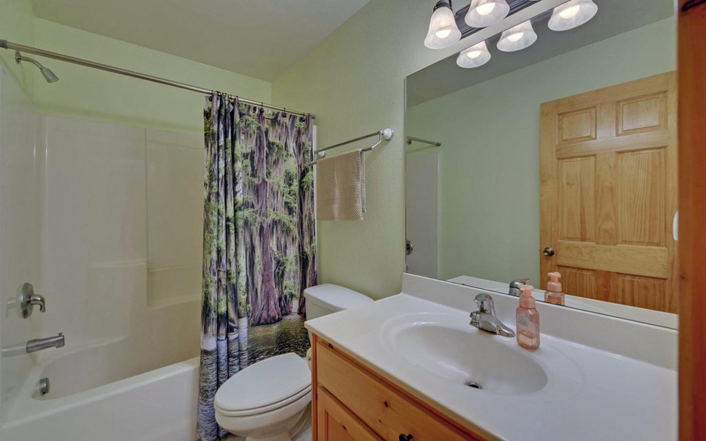 164 Dew Drop Lane Murphy, NC 28906 - Photo 15 of 49