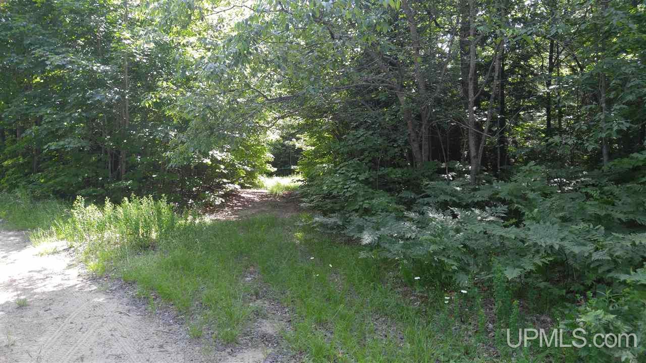 33-acres Sigar Camp Road Seney, MI 49883 - Photo 3 of 22