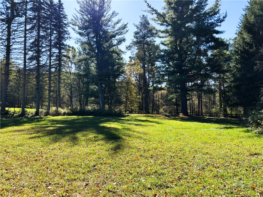 164 Millstone Road Warren, NY 13439 - Photo 33 of 38