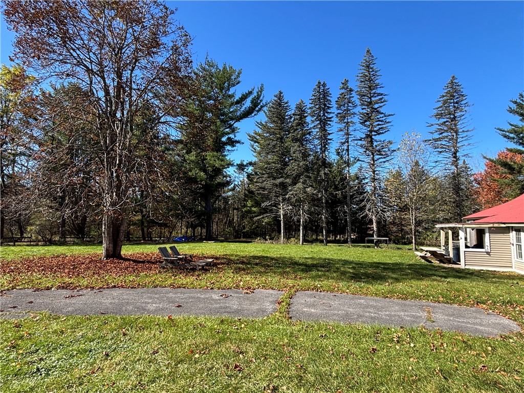 164 Millstone Road Warren, NY 13439 - Photo 36 of 38