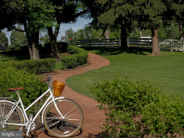 a view of a backyard with plants and a slide