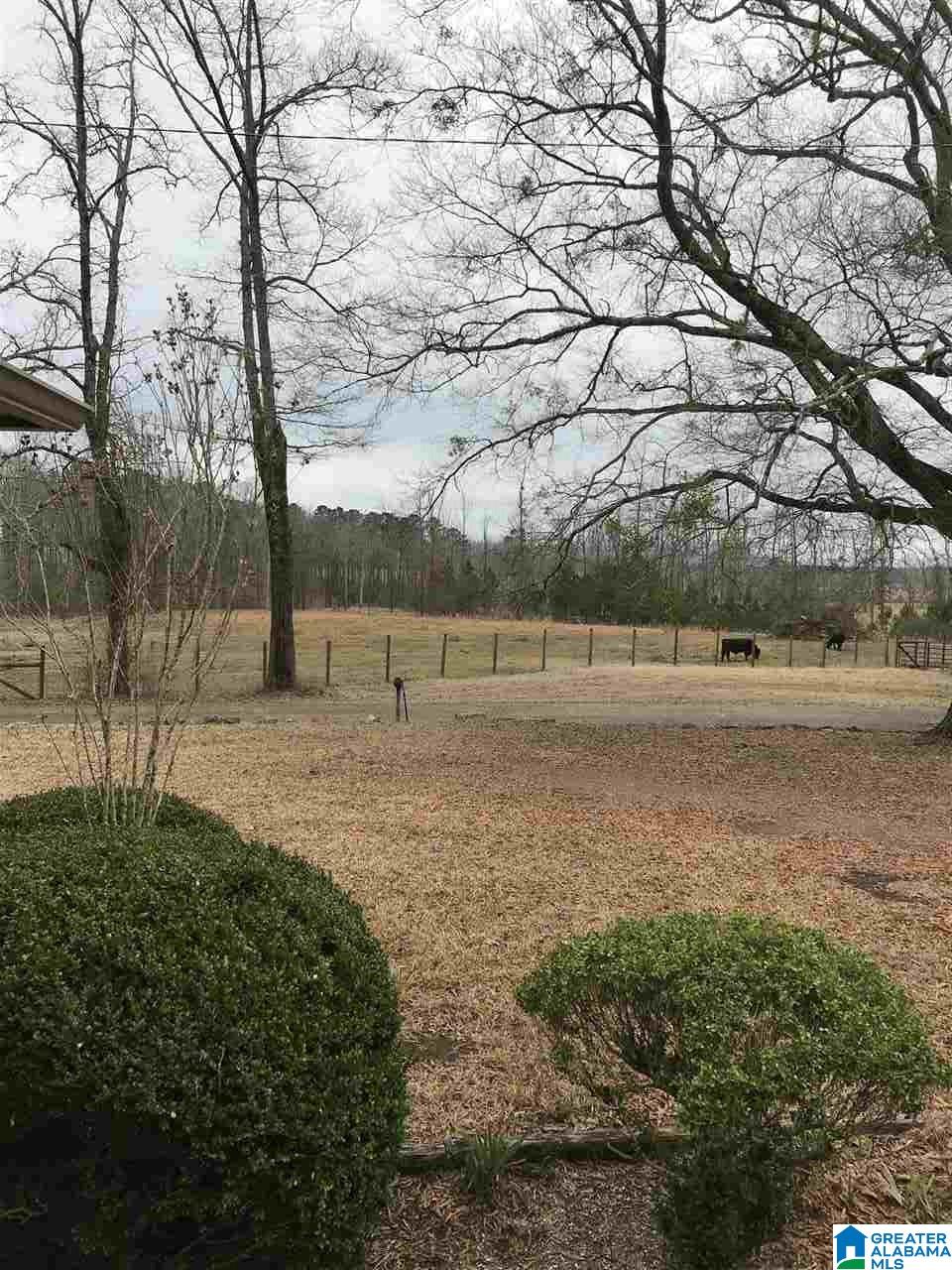 346 Hunters Lane Vandiver, AL 35176 - Photo 21 of 38