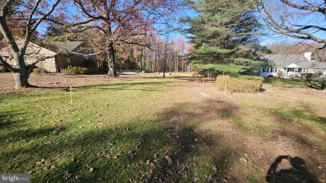 a view of road with large trees