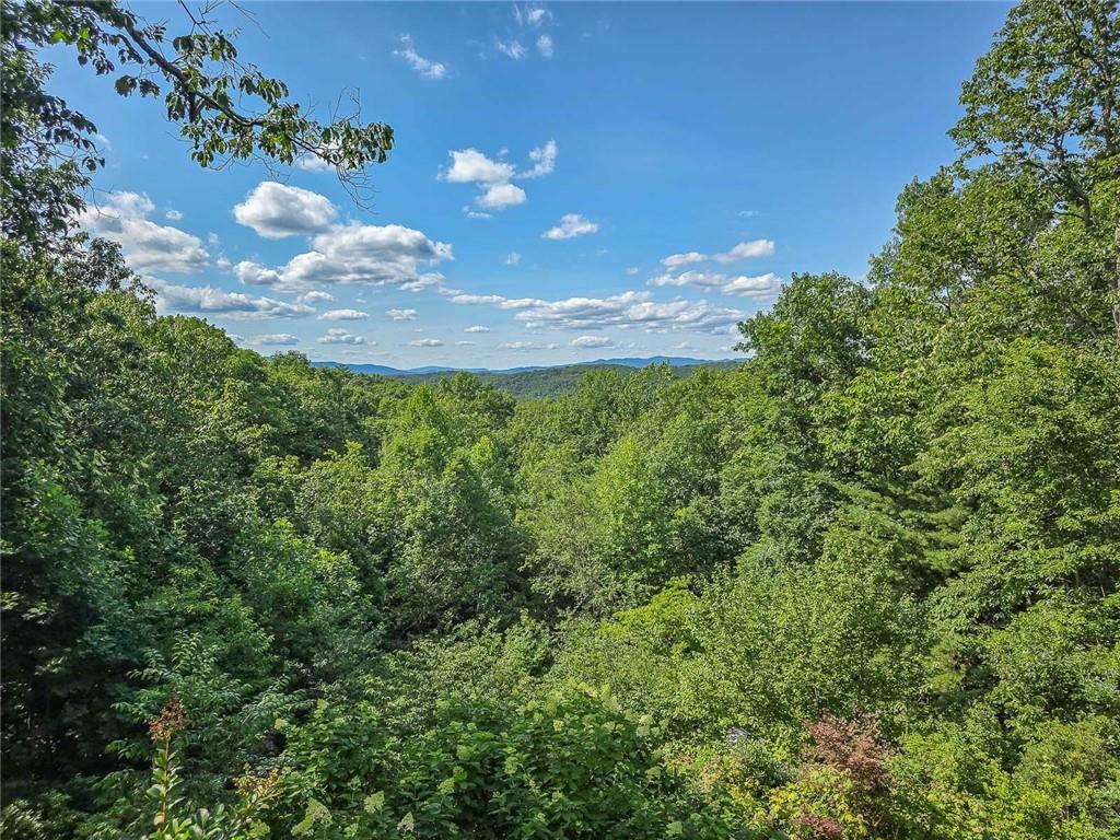 120 Sunrock Mountain Trace Blue Ridge, GA 30513 - Photo 54 of 66