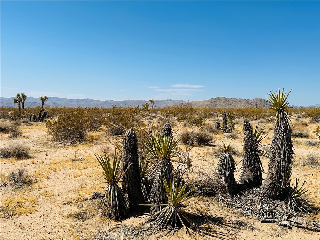 5 Sunset Road Joshua Tree, CA 92252 - Photo 1 of 1