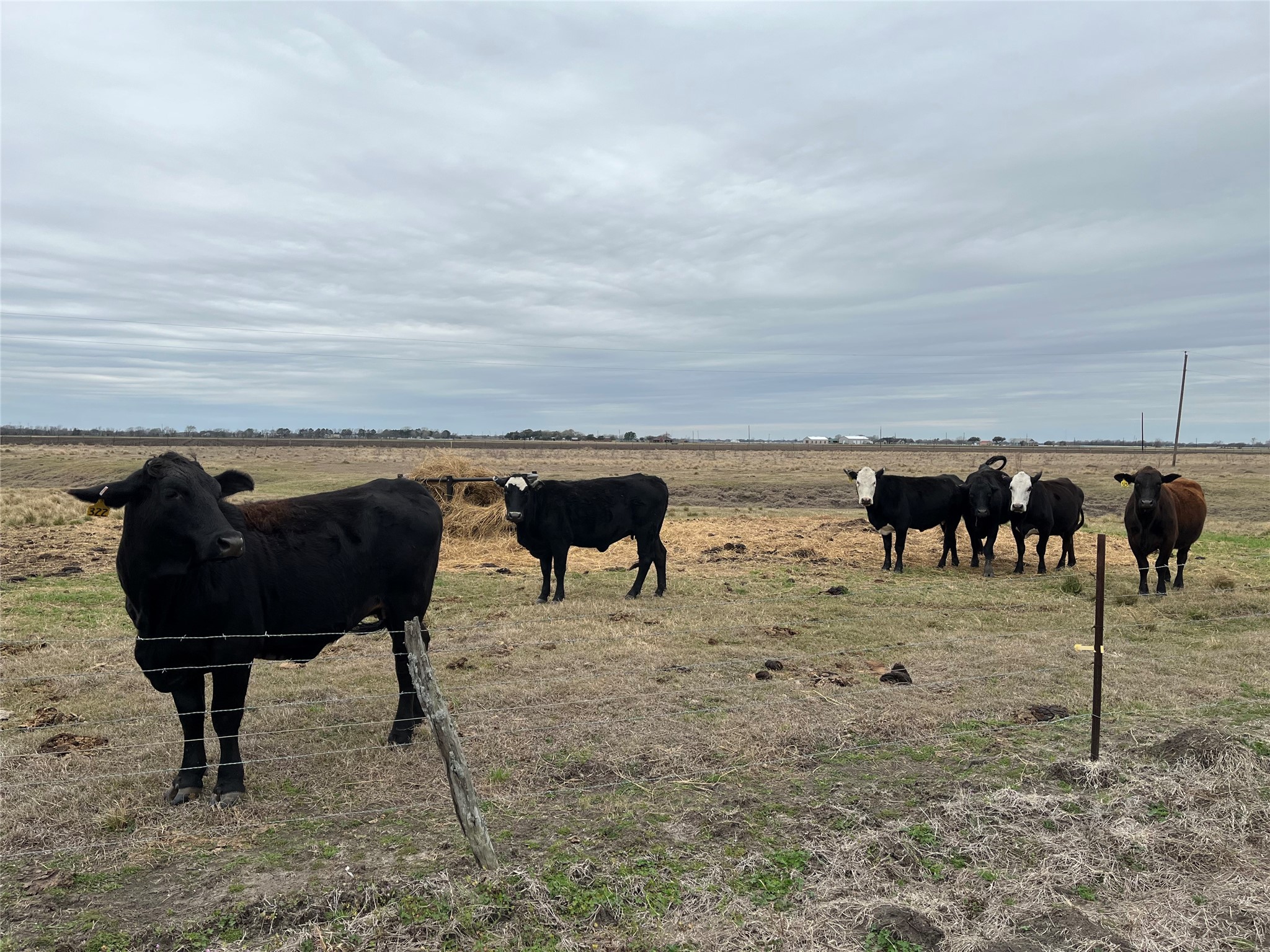 13315 Zamanek Road Needville, TX 77461 - Photo 17 of 28