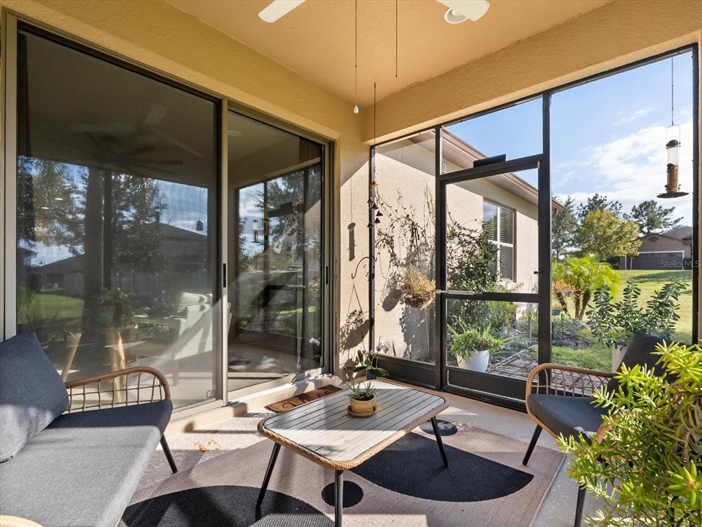 30021 Donnington Loop Mount Dora, FL 32757 - Photo 30 of 40 a living room with patio furniture and a potted plant