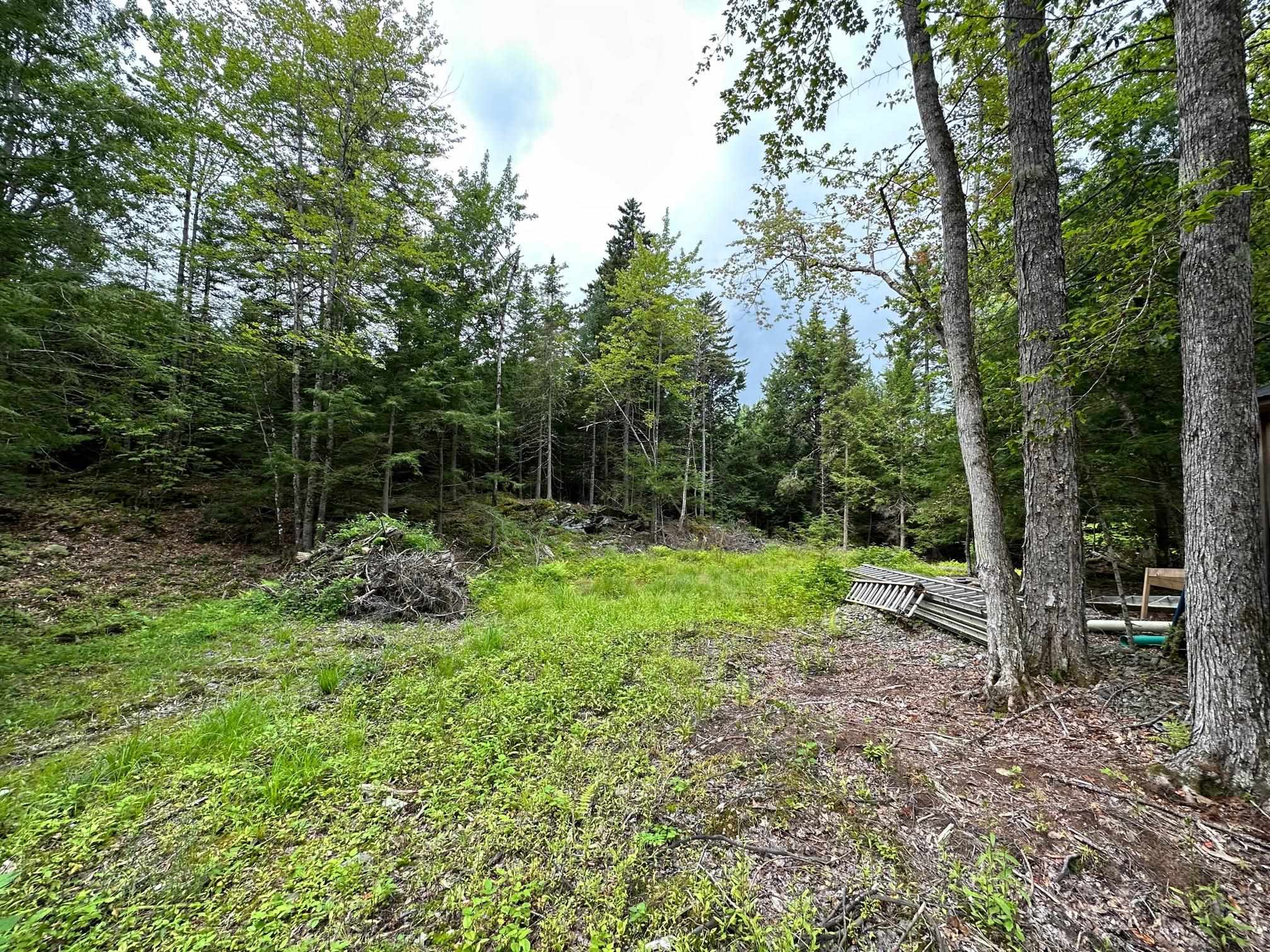 544 Lily Pond Road Haverhill, NH 03780 - Photo 13 of 25 Gallery Image 13