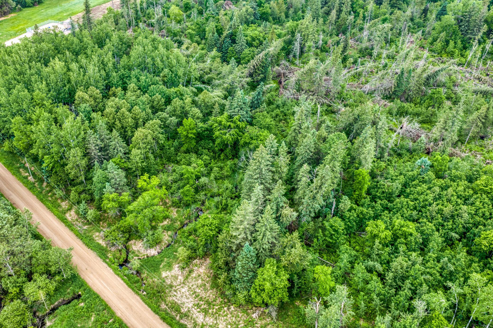 24058 County 2 Shevlin, MN 56676 - Photo 29 of 90