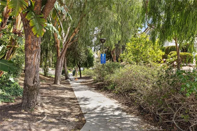 a view of a yard with plants and trees