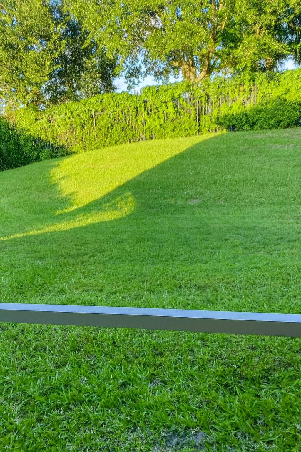 2303 Center Stone Lane Riviera Beach, FL 33404 - Photo 4 of 6 grass