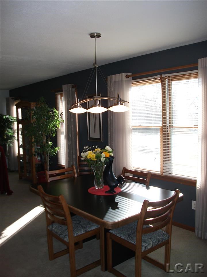 3153 Pennington Road Clinton, MI 49236 - Photo 11 of 24
