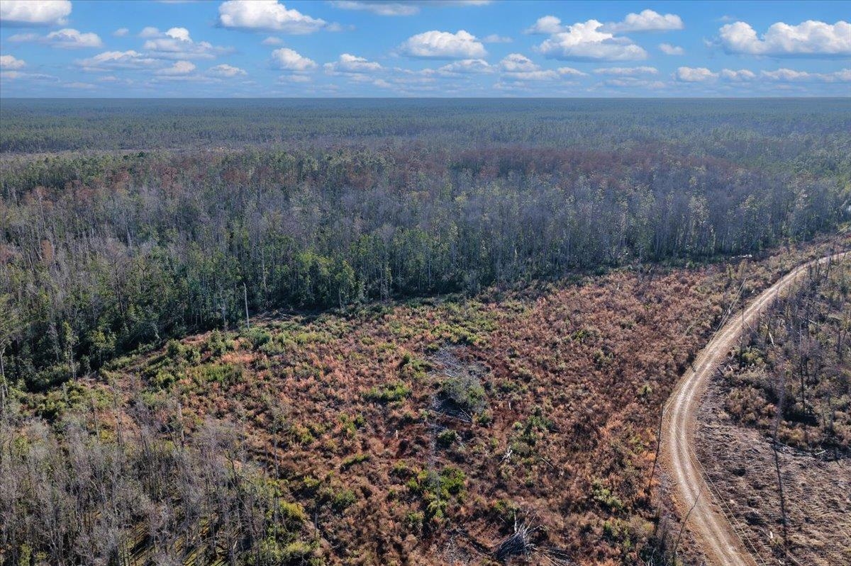 8412 Southwest Tower Road Madison, FL 32340 - Photo 20 of 32