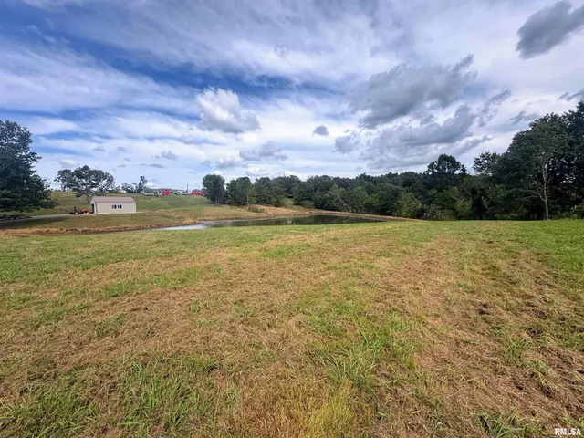 $99,900 | 0 Tulip Lane, Vienna, IL 62995