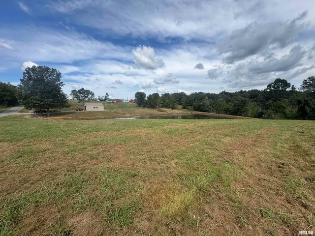 $99,900 | 0 Tulip Lane, Vienna, IL 62995