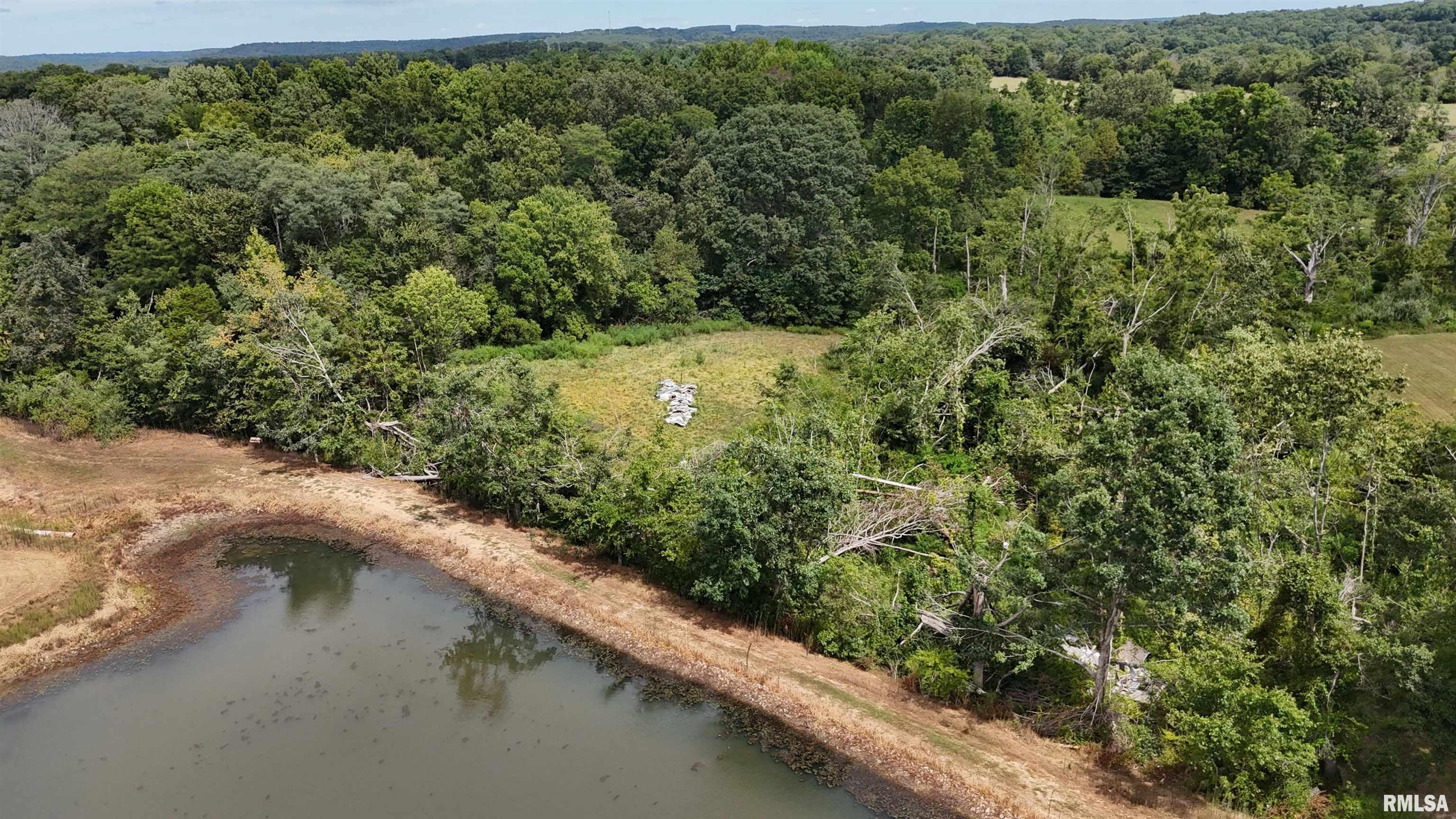 0 Tulip Lane Vienna, IL 62995 - Photo 9 of 14