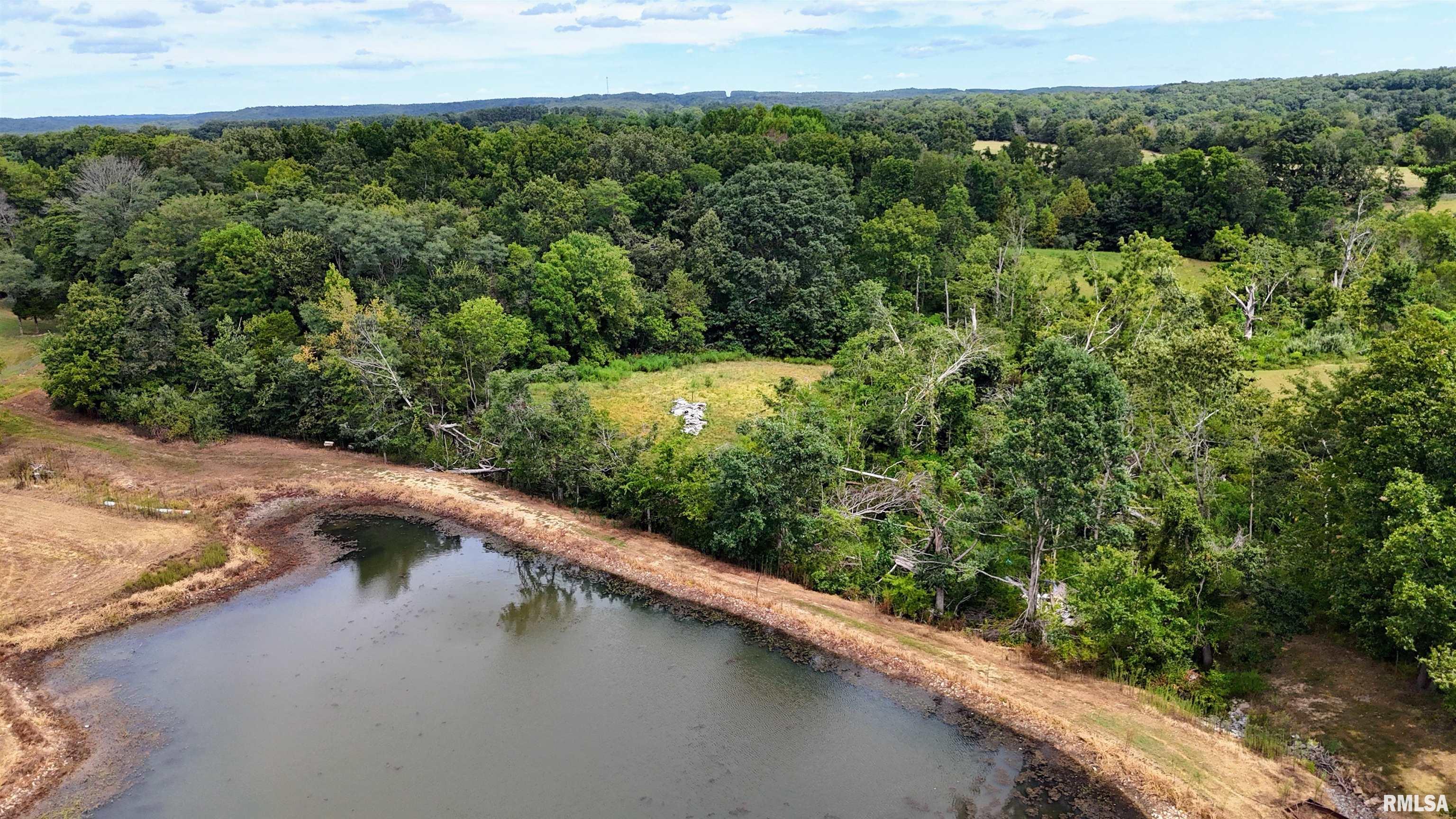 0 Tulip Lane Vienna, IL 62995 - Photo 10 of 14