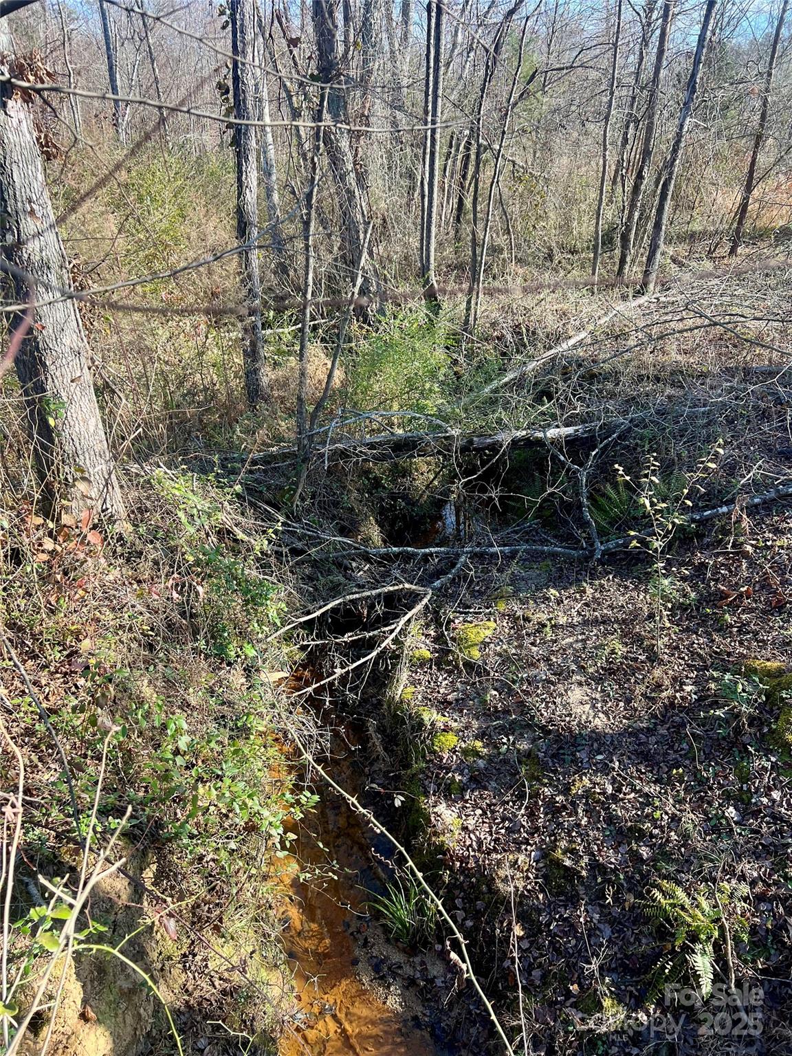 0 Stoney Point Road Shelby, NC 28150 - Photo 17 of 19