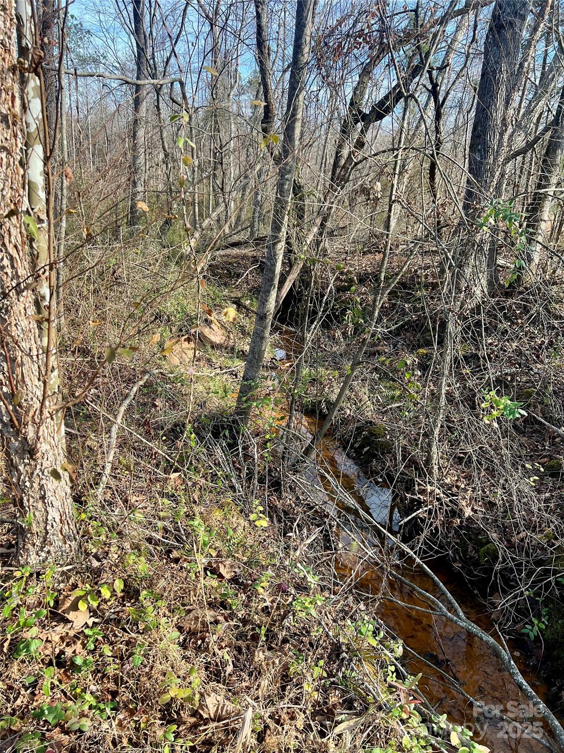 0 Stoney Point Road Shelby, NC 28150 - Photo 18 of 19