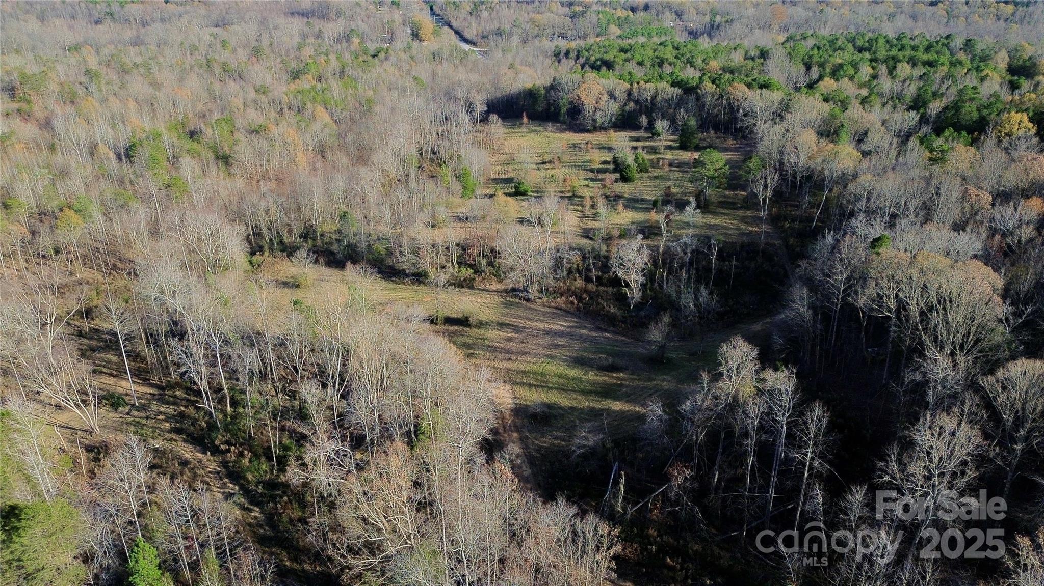 0 Stoney Point Road Shelby, NC 28150 - Photo 3 of 19