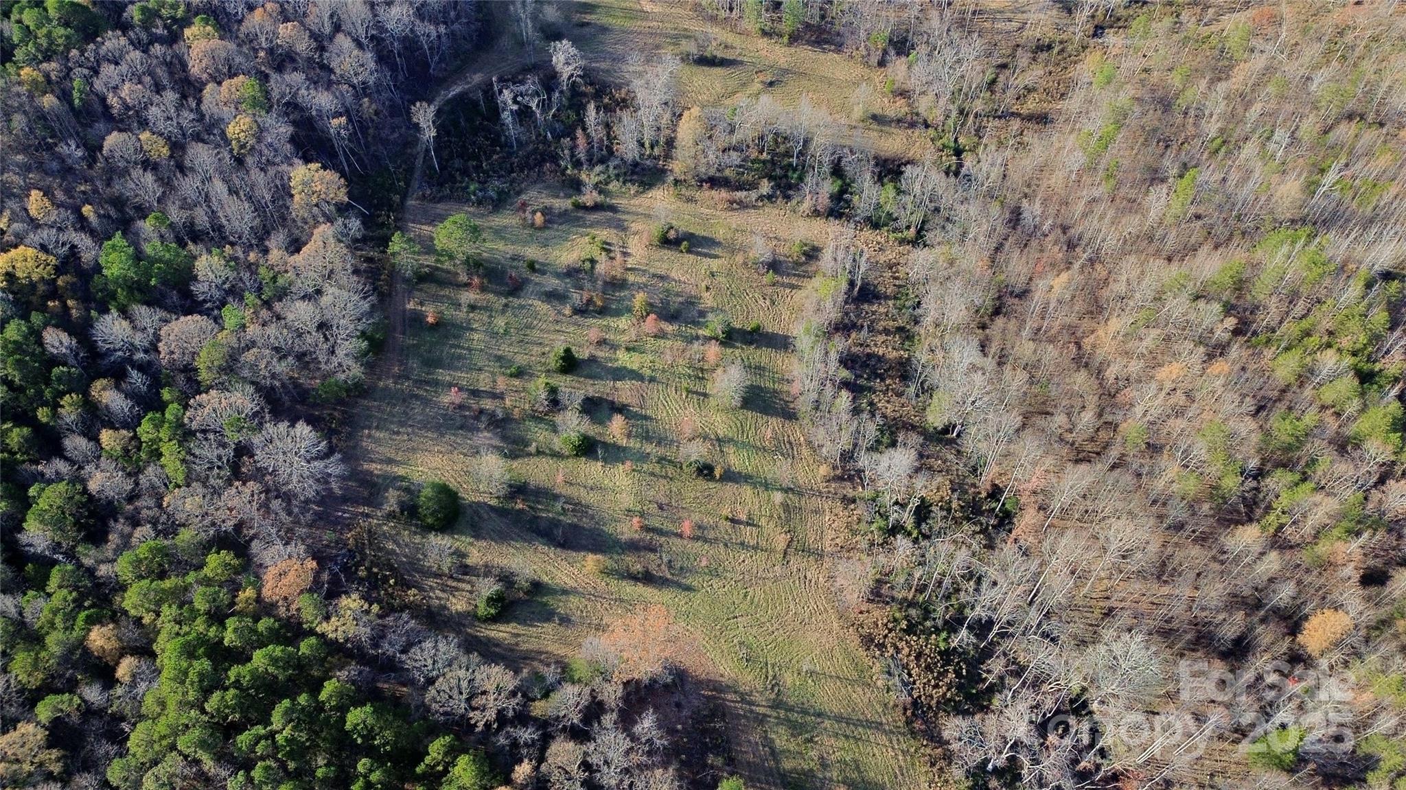 0 Stoney Point Road Shelby, NC 28150 - Photo 5 of 19