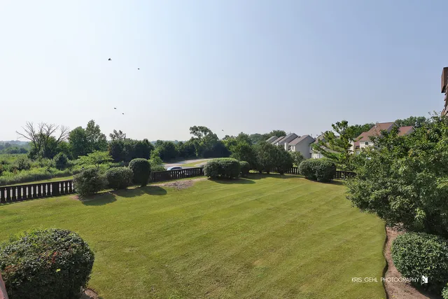 a big yard with lots of green space and plants