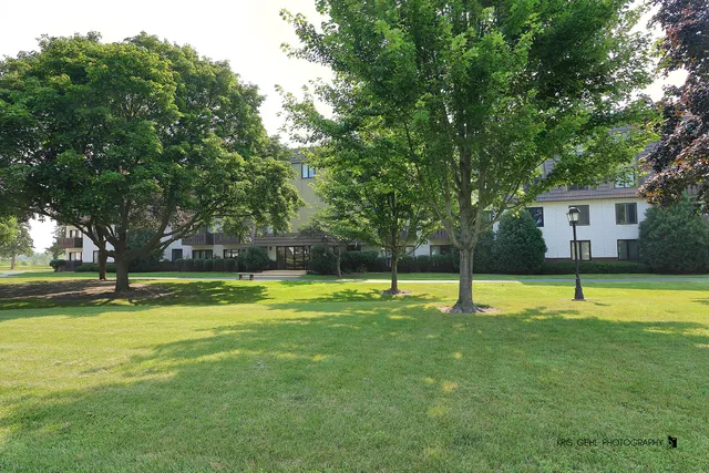 a swimming pool with lots of tress in front of it