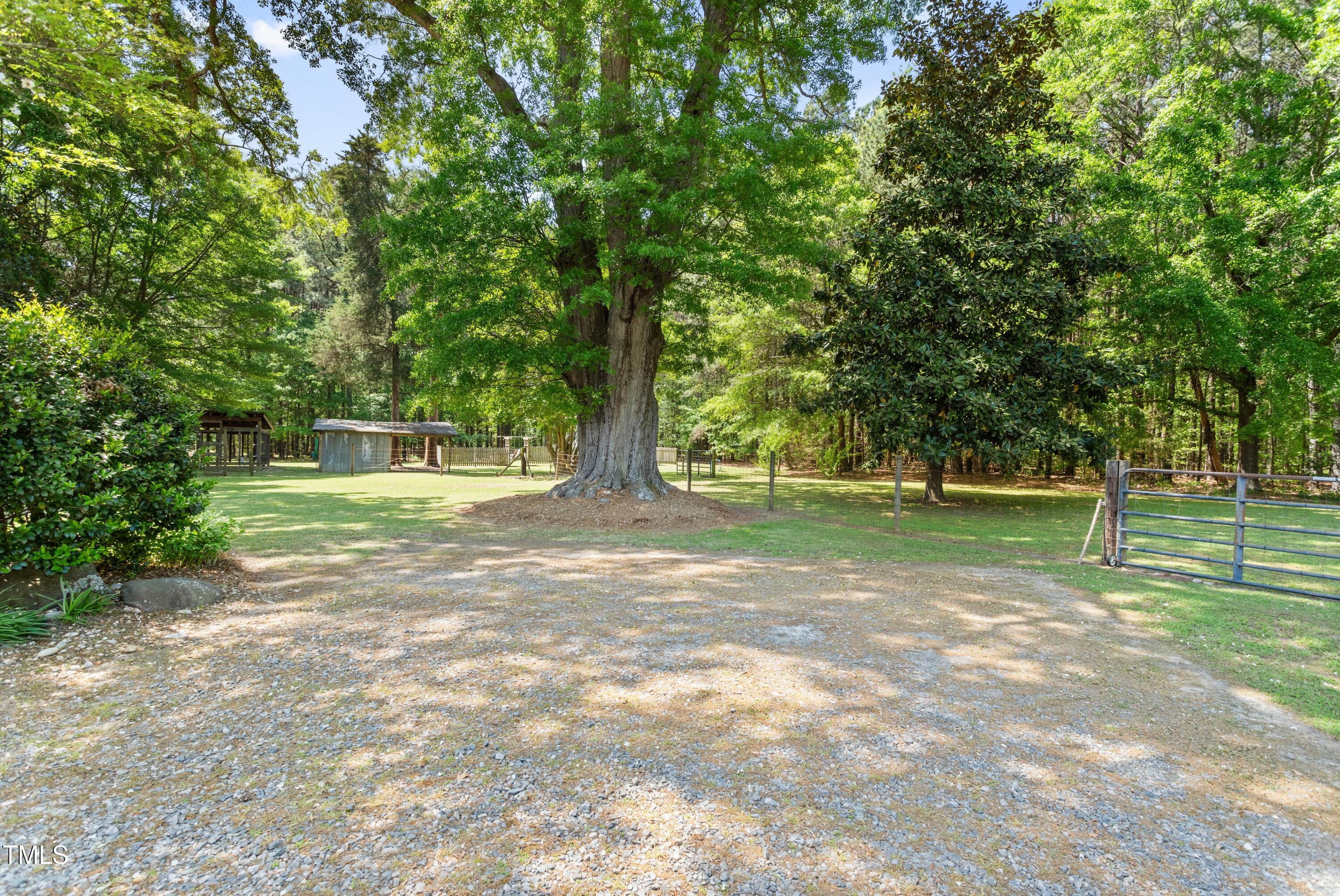 7227 Cleveland Road Clayton, NC 27520 - Photo 43 of 44 Open Yard