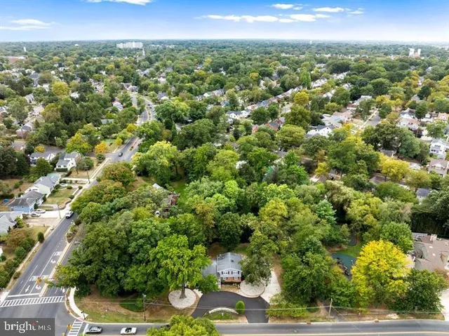a view of a city with lush green forest