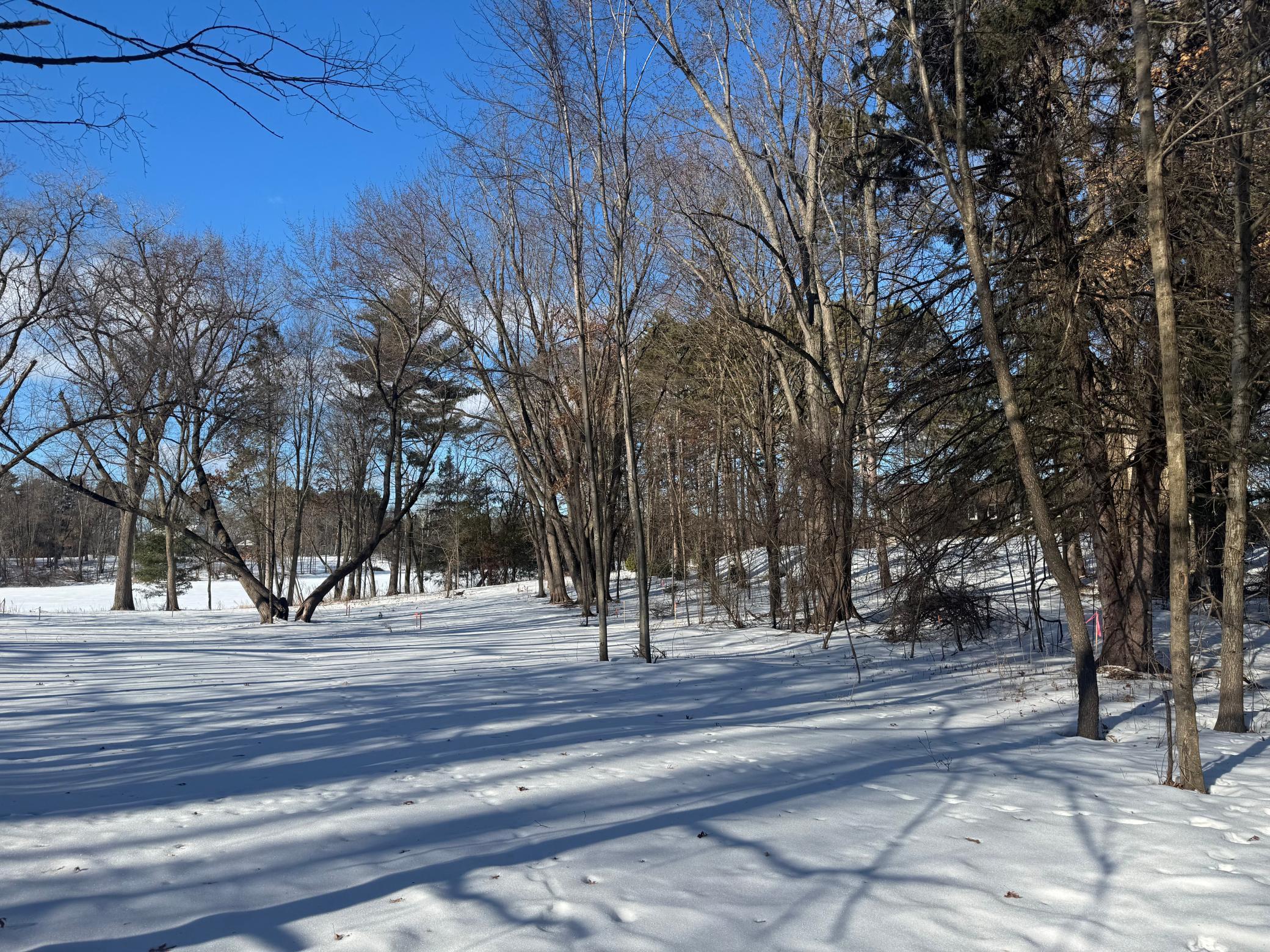 Tbd 412th Street North Branch, MN 55056 - Photo 11 of 17