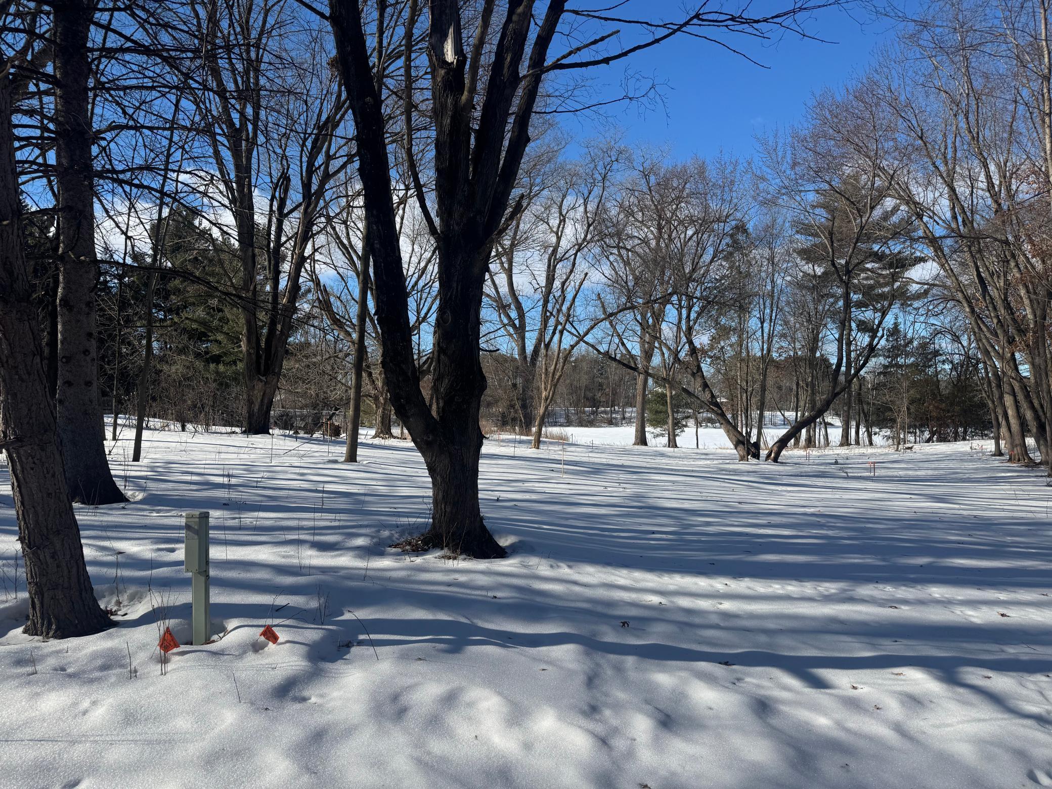 Tbd 412th Street North Branch, MN 55056 - Photo 12 of 17