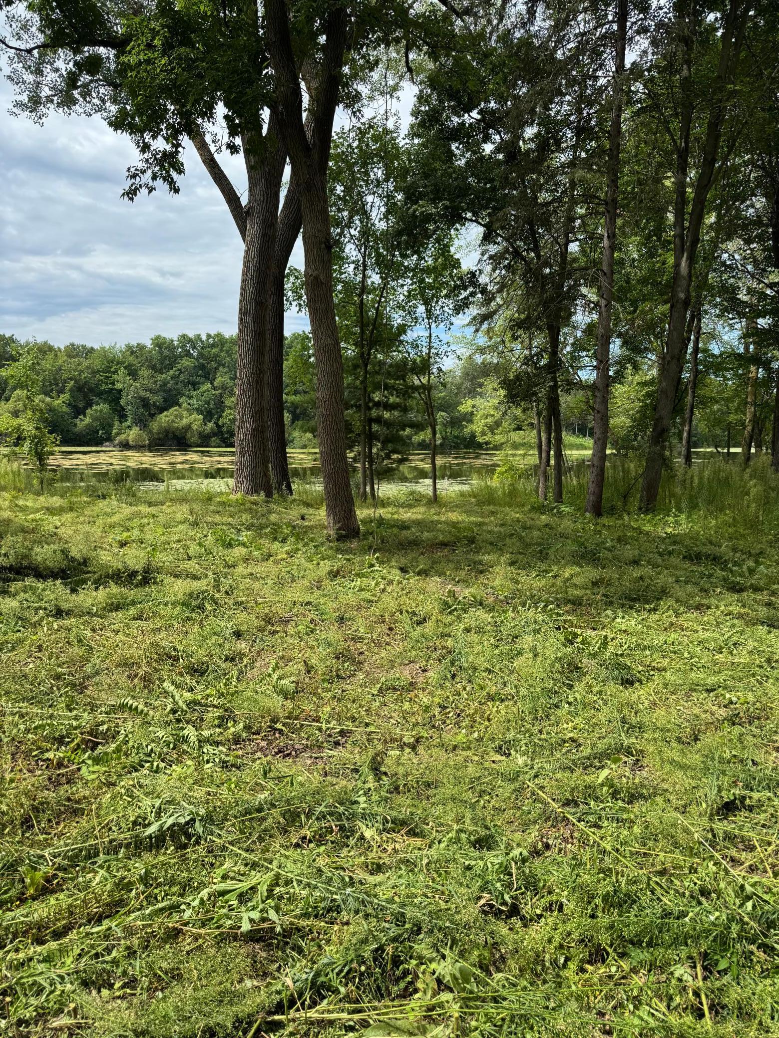 Tbd 412th Street North Branch, MN 55056 - Photo 13 of 17