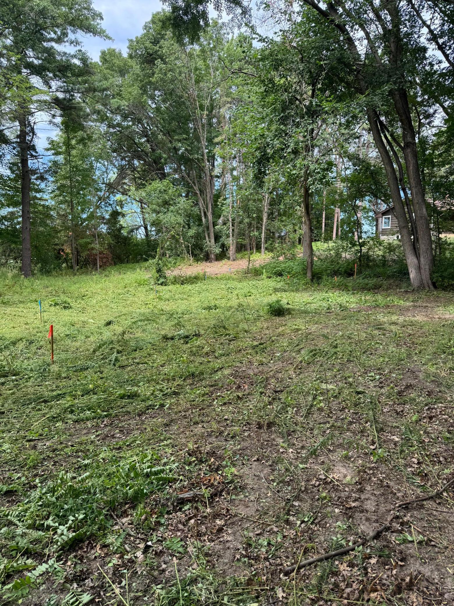 Tbd 412th Street North Branch, MN 55056 - Photo 14 of 17