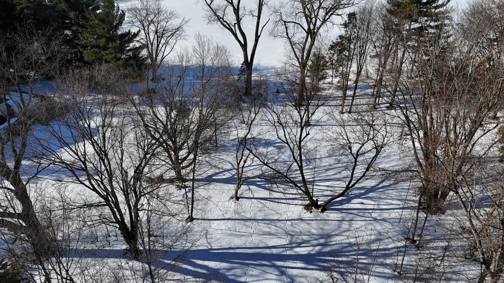 Tbd 412th Street North Branch, MN 55056 - Photo 3 of 17