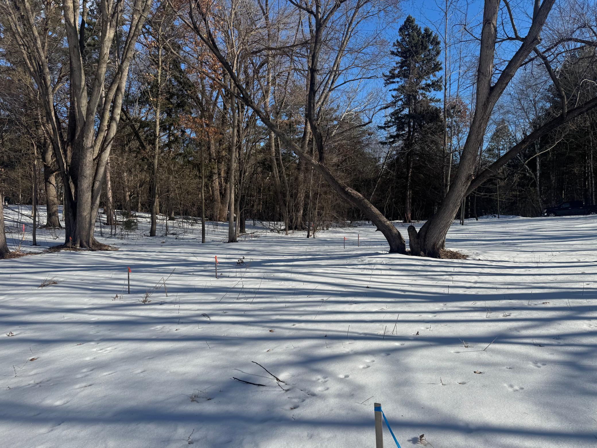 Tbd 412th Street North Branch, MN 55056 - Photo 4 of 17