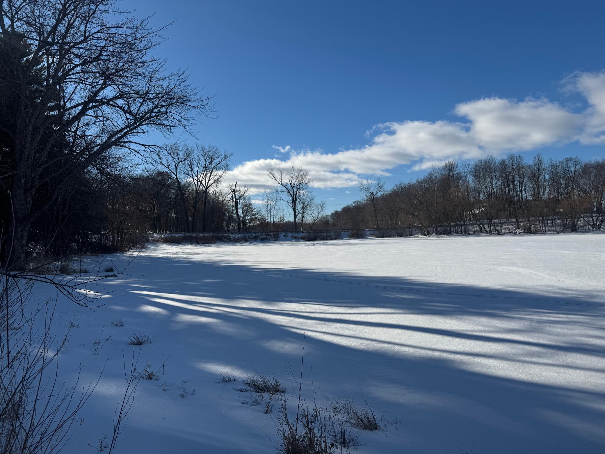Tbd 412th Street North Branch, MN 55056 - Photo 5 of 17