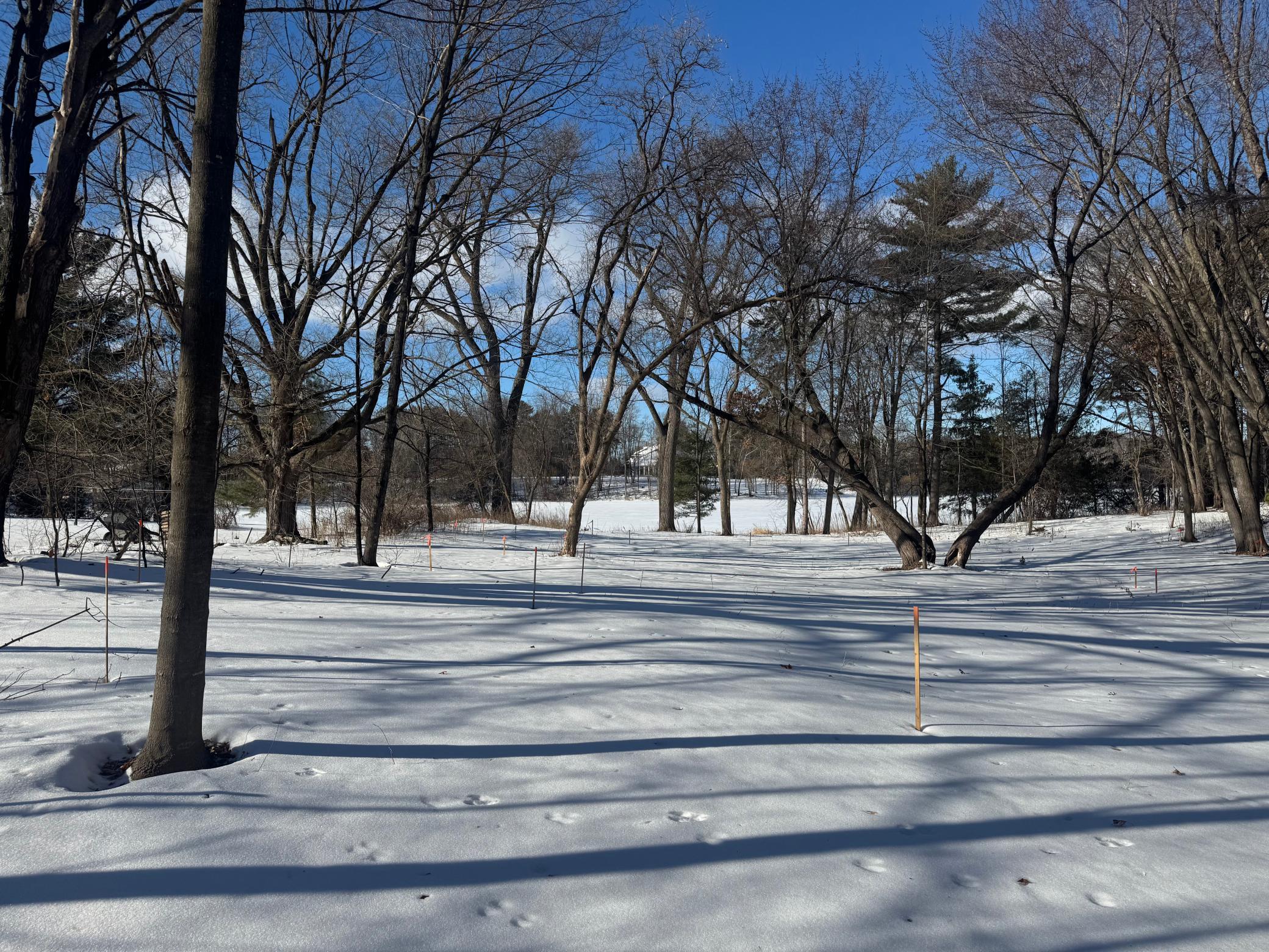 Tbd 412th Street North Branch, MN 55056 - Photo 10 of 17