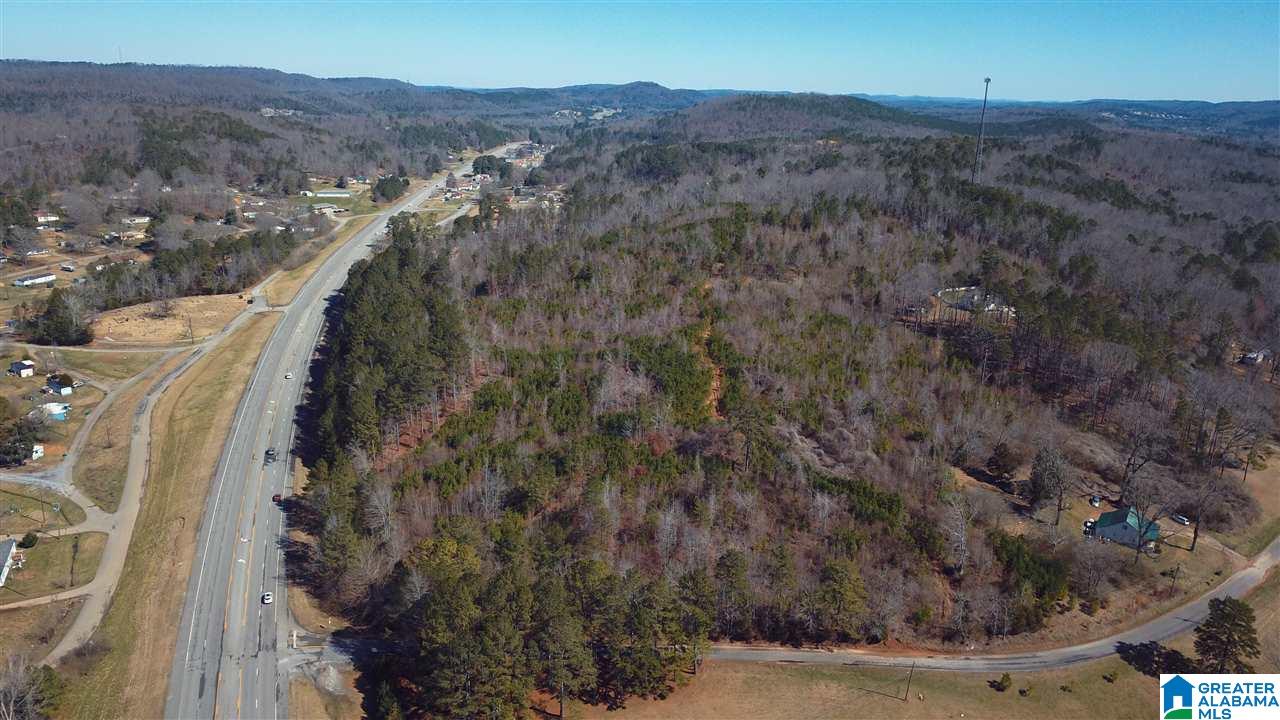 0 Highway 75, Unit 29 38 Oneonta, AL 35121 - Photo 4 of 30