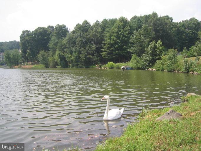 11603 Windbluff Court Reston, VA 20191 - Photo 19 of 22 a view of a lake from a yard