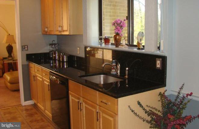 11603 Windbluff Court Reston, VA 20191 - Photo 4 of 22 a kitchen with granite countertop a sink and cabinets