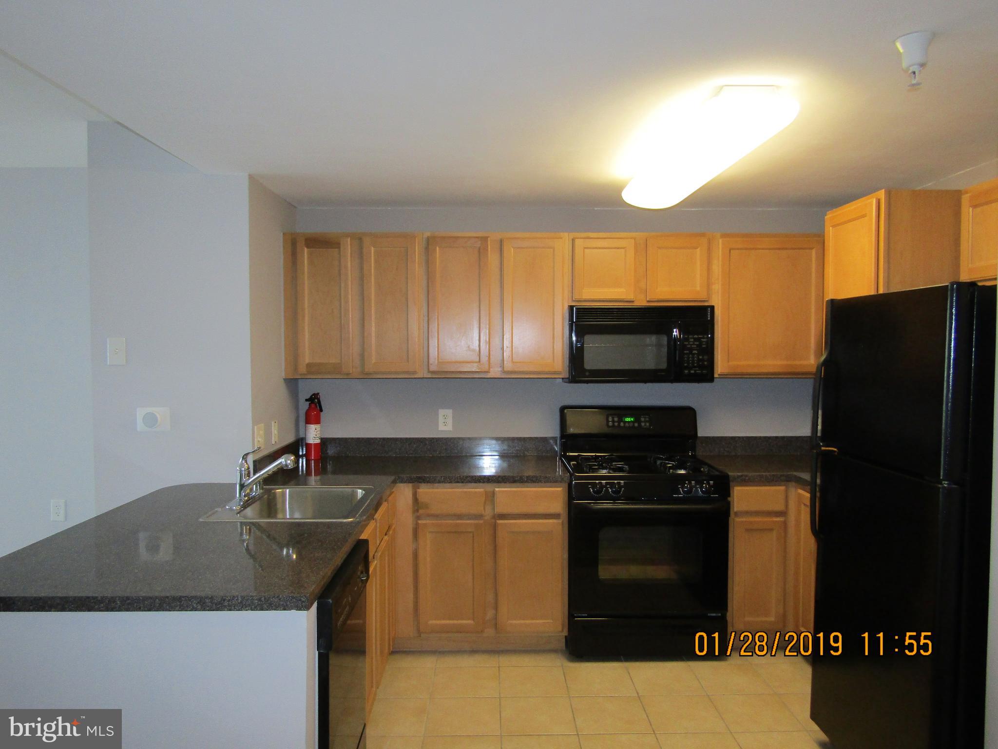 350 G Street Southwest, Unit N522 Washington, DC 20024 - Photo 3 of 36 Kitchen