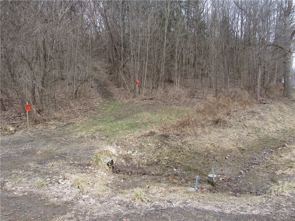 685 Cauwels Road Marion, NY 14505 - Photo 1 of 1 Gallery Image 1