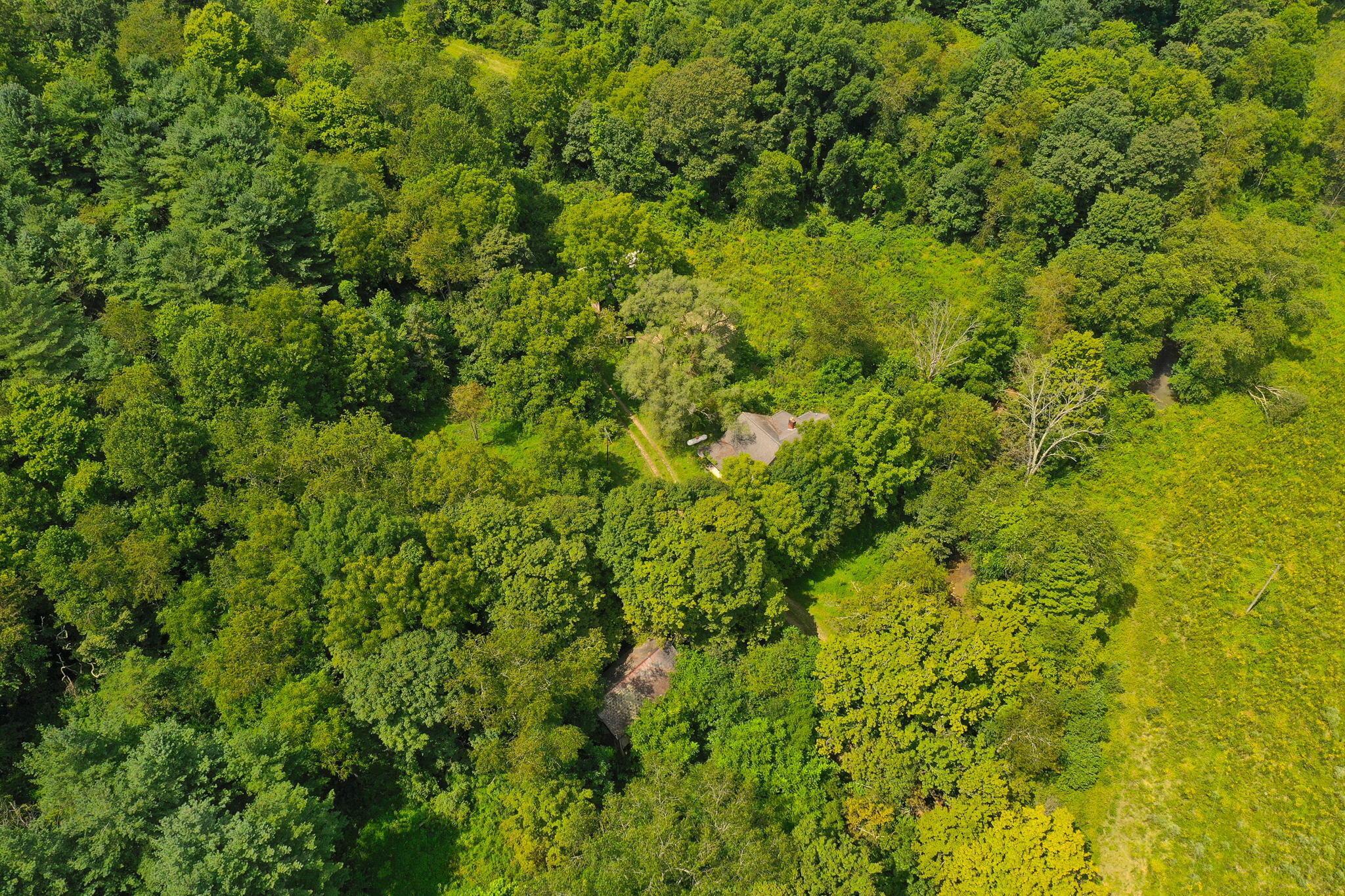 21677 Griffith Road Logan, OH 43138 - Photo 15 of 21 21-web-or-mls-220966772B2DE7AC47FE9D1F44