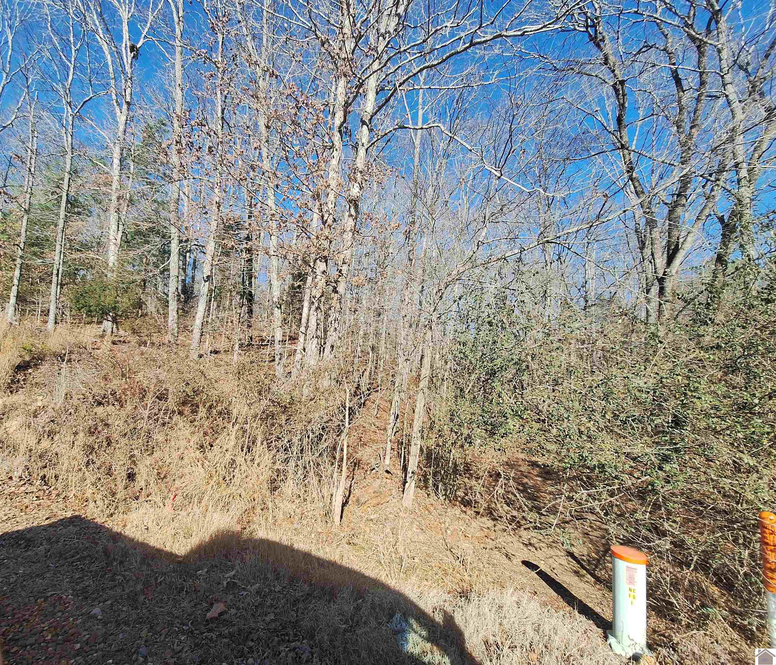 0 Center Ridge Road Murray, KY 42071 - Photo 1 of 2 Photo 1
